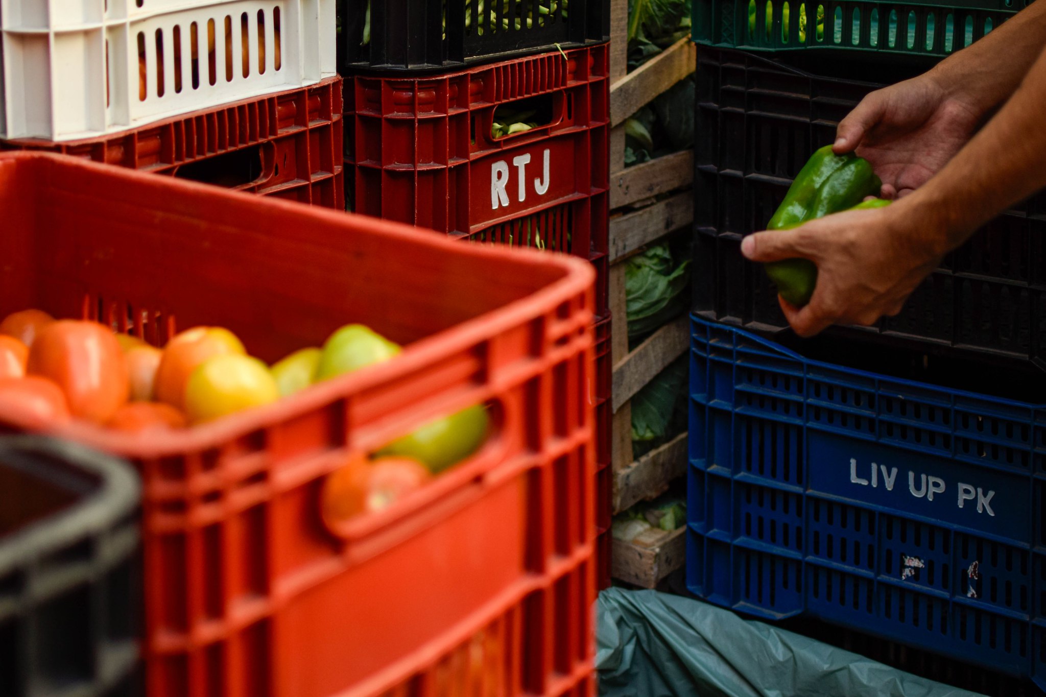 MDS lança edital voltado a sistemas alimentares circulares urbanos
