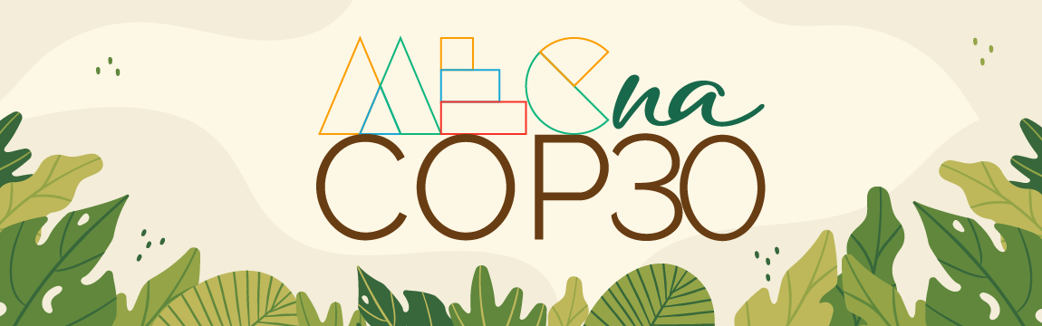 banner da COP30