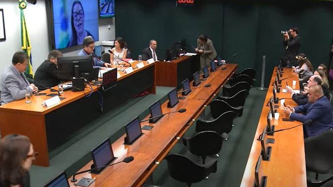 Denise_combate à desigualdade.jpg