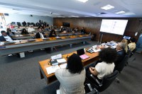 Senado debate a respeito de ensino da história e cultura afro-brasileira