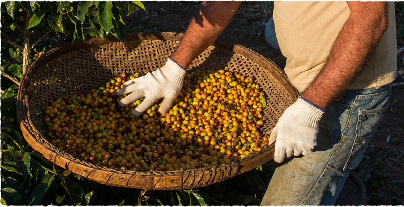 WhatsApp Image 2024-08-30 at 15.21.01.jpeg