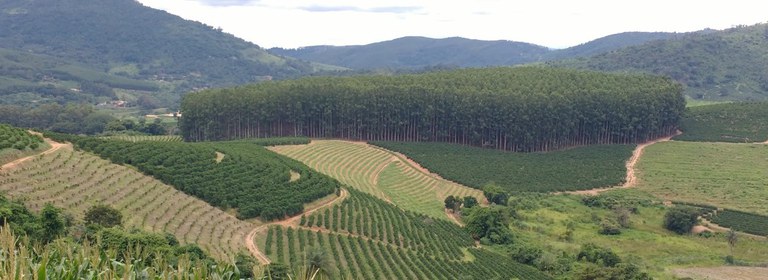 WhatsApp Image 2024-09-02 at 08.19.10 (1).jpeg