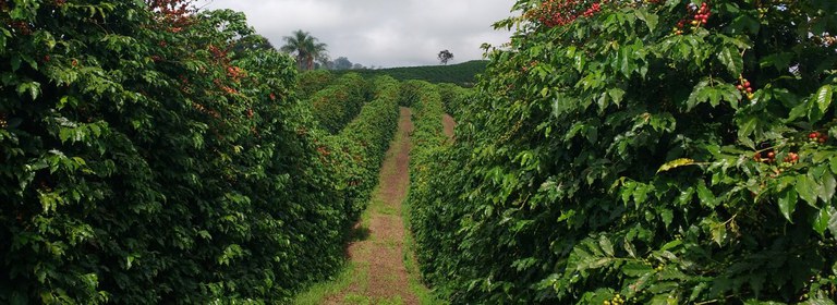 WhatsApp Image 2024-09-02 at 08.19.10.jpeg