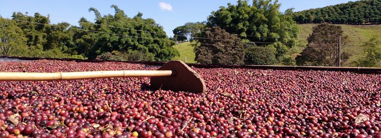 WhatsApp Image 2024-09-02 at 08.19.11 (1).jpeg