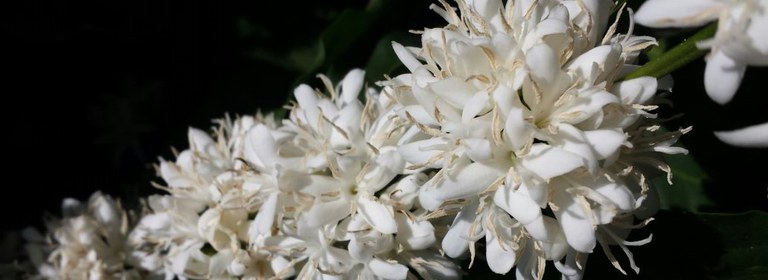 WhatsApp Image 2024-09-02 at 08.19.11.jpeg