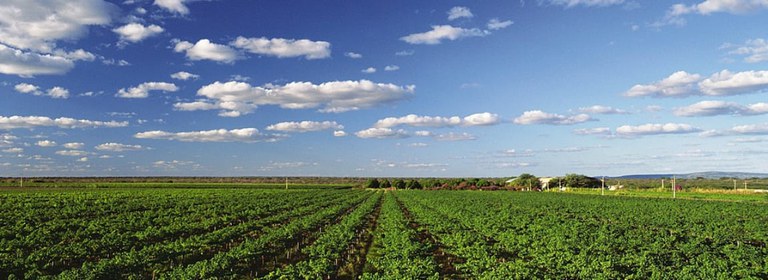 WhatsApp Image 2024-09-02 at 08.19.12 (1).jpeg