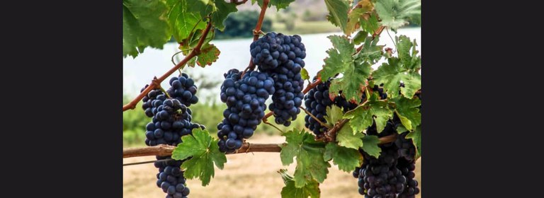 WhatsApp Image 2024-09-02 at 08.19.12 (2).jpeg