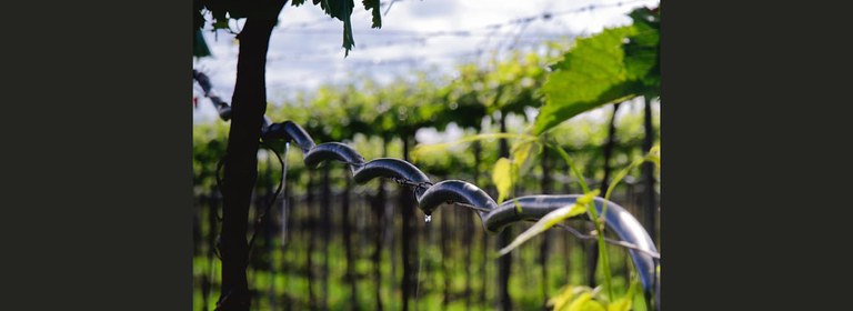 WhatsApp Image 2024-09-02 at 08.19.12.jpeg