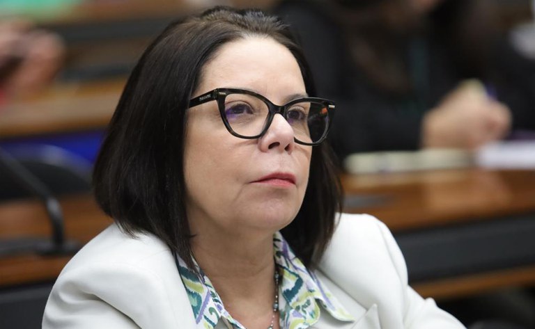 Audiência pública 5a CNCTI 3.jpg