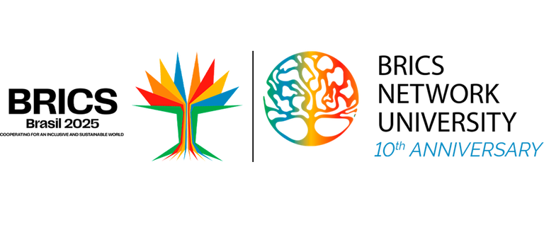 logo Brics_Network_University_10th_Anniversary_v2-2.png