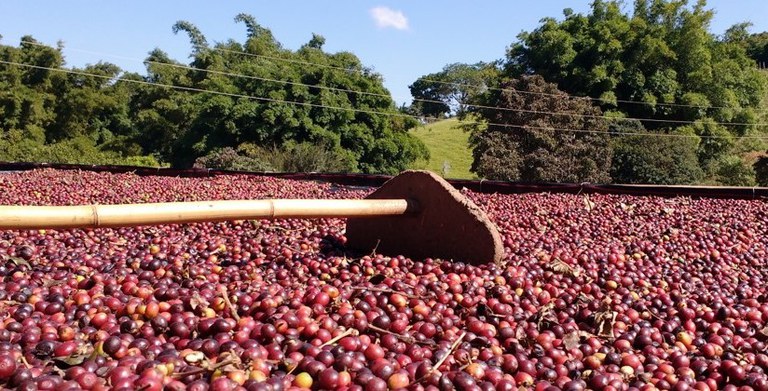 WhatsApp Image 2025-07-07 at 10.16.06.jpeg