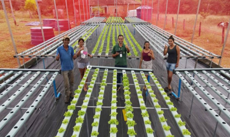 Demanda 695 Hortaliças são produzidas por meio da hidropi_Felipe De Angelis 1.jpg