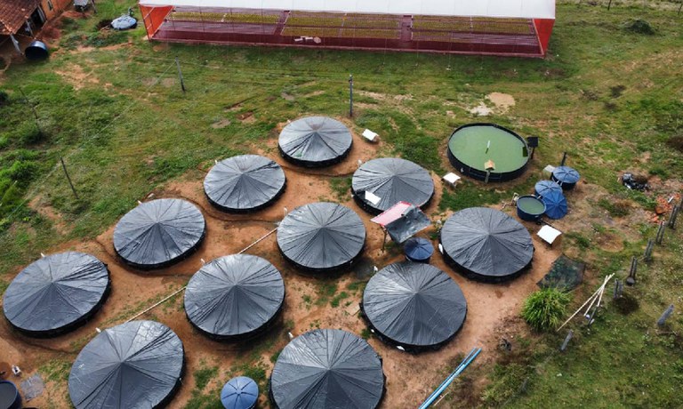 Demanda 695 IFMS levou produção de peixes e hortaliças ao_Felipe De Angelis (1) 1.jpg