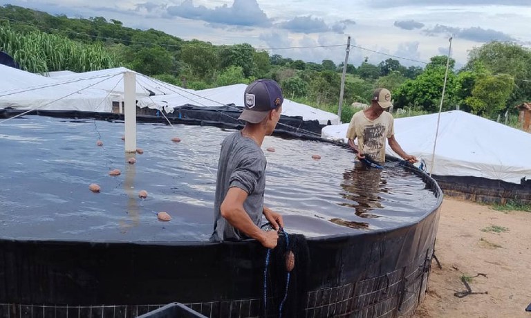 Demanda 695 Tanques são utilizados para a produção de pei_Felipe De Angelis 1.jpg