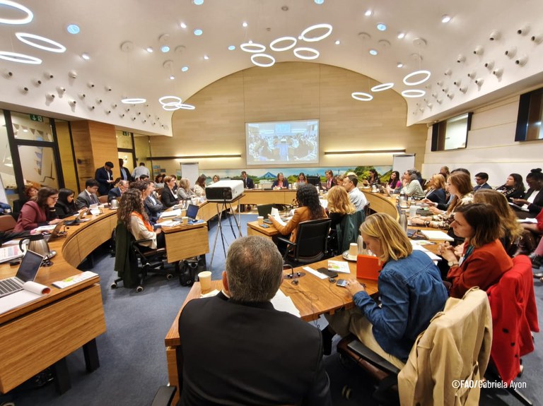 MEC dialoga sobre alimentação escolar fórum da FAO