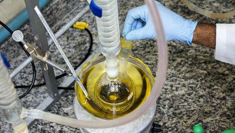 Oleo-laboratorio-pesquisa-Foto-Alexandre-de-Moraes-86.jpg