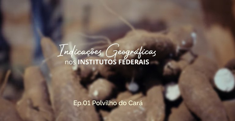 Indicação geográfica