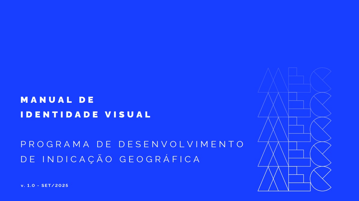 Manual de Identidade Visual