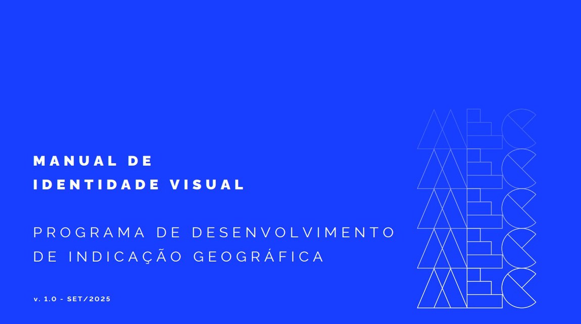 Manual de Identidade Visual