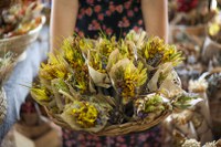 Dia do Artesão é celebrado com valorização e apoio do Ministério do Empreendedorismo