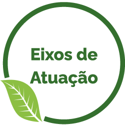 Eixos de atuação