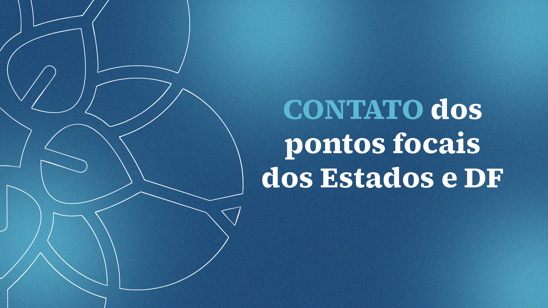 Contato dos pontos focais dos Estados e DF