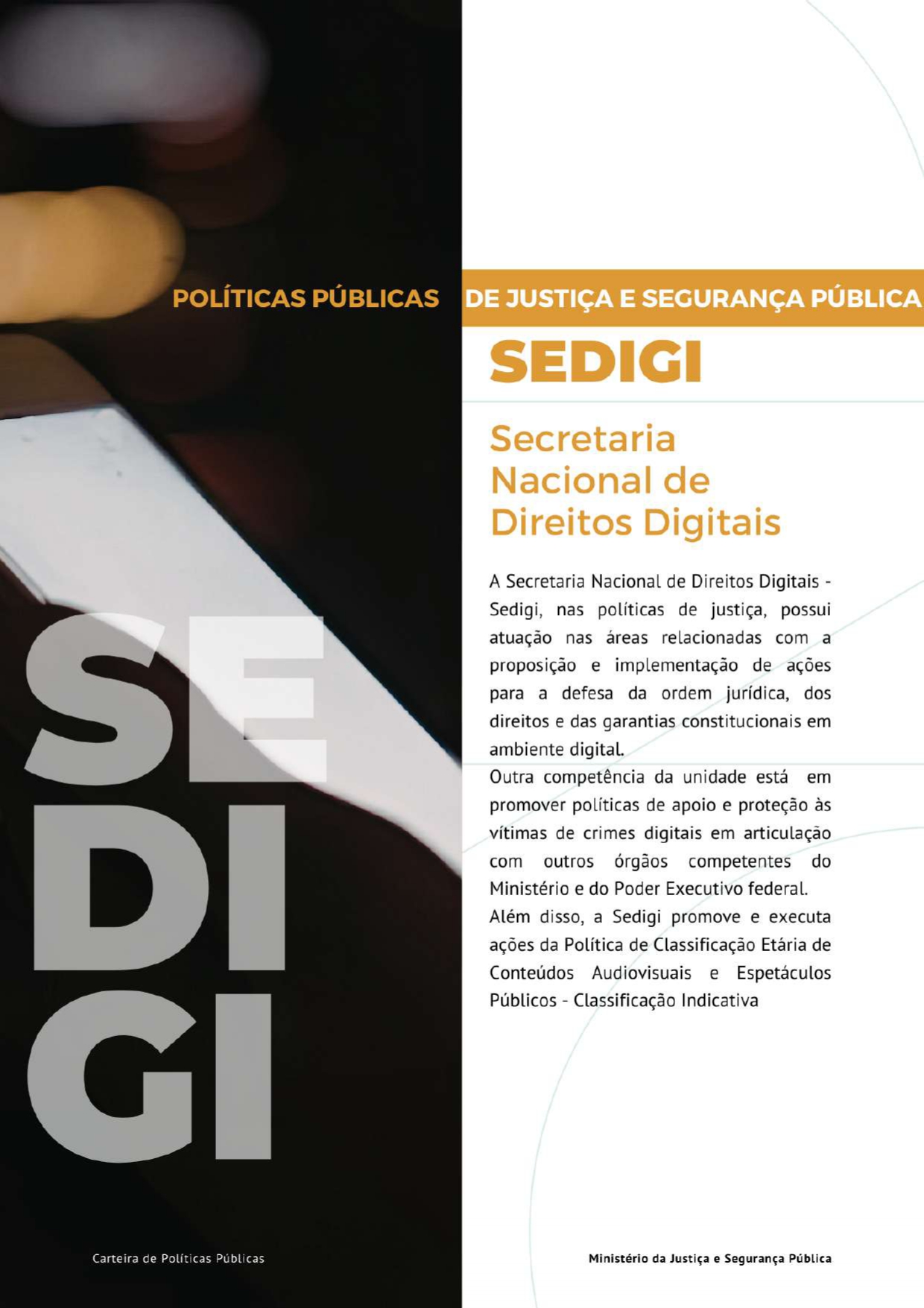 Link para acesso as políticas públicas da Secretaria Nacional de Direitos Digitais - SEDIGI