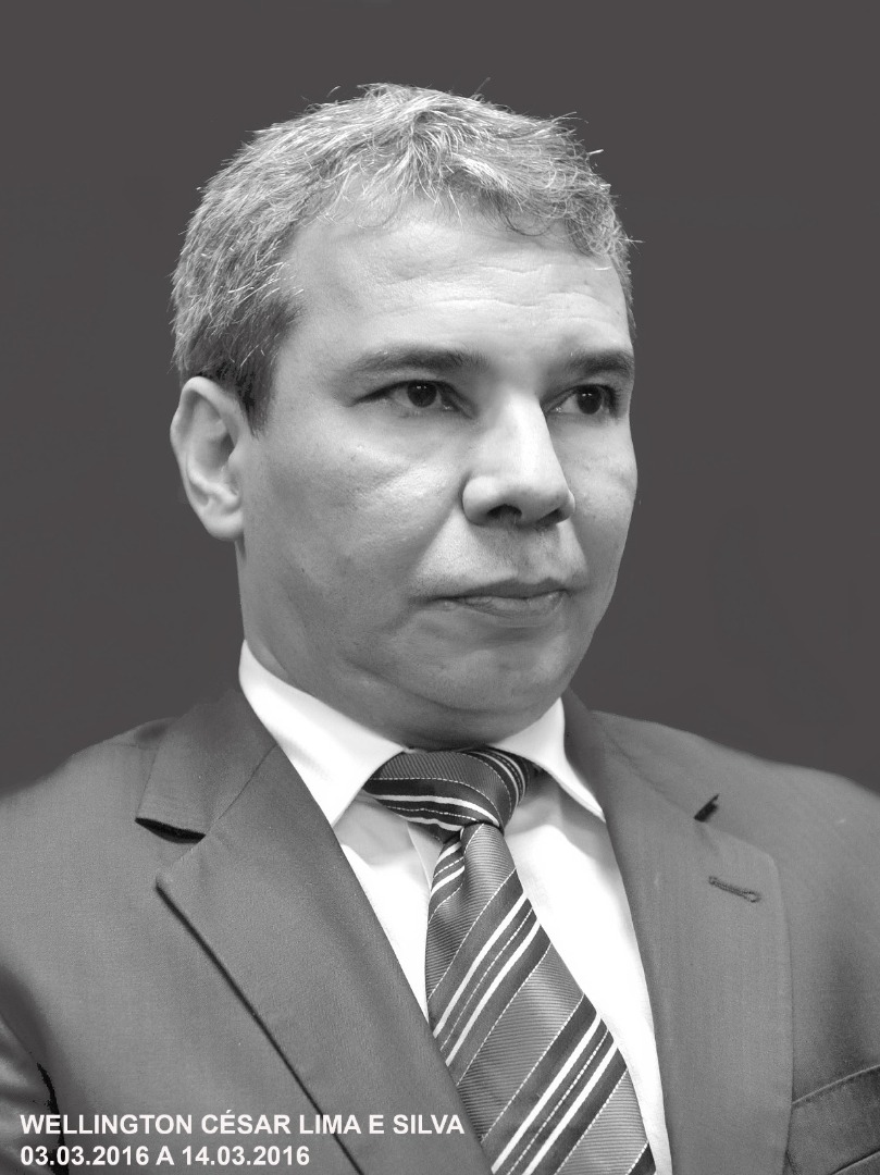 Wellington César L. e Silva
