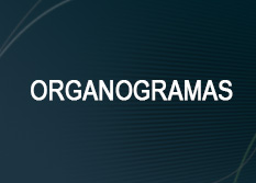 Organogramas.jpg