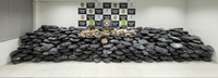 Operação apreende 700 kg de skunk em Fortaleza