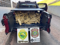 Operação apreende quase 2,7 toneladas de maconha e causa impacto de R$ 5,35 milhões no Paraná