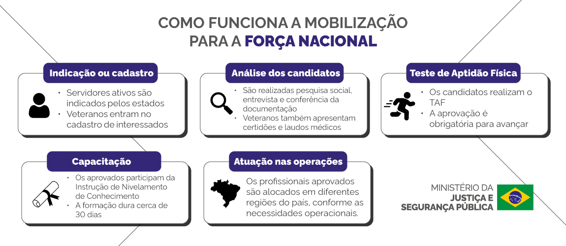 Infográfico