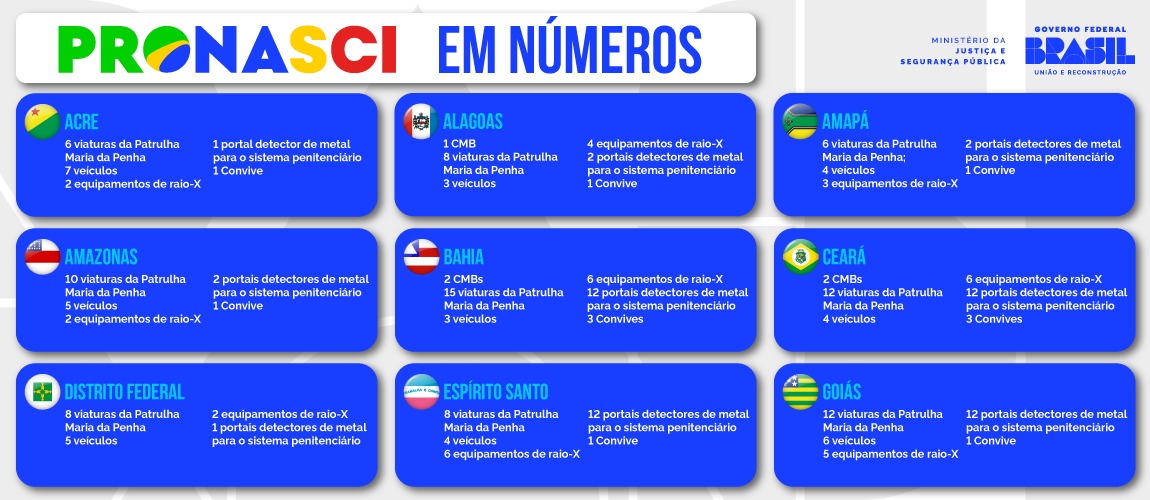 Infográfico Pronasci 1