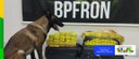 Ações com cães farejadores em áreas fronteiriças apreendem 12 toneladas de drogas em cinco meses