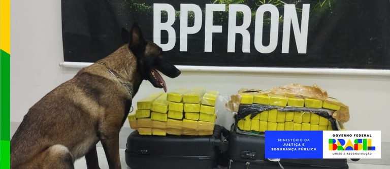 Ações com cães farejadores em áreas fronteiriças apreendem 12 toneladas de drogas em cinco meses