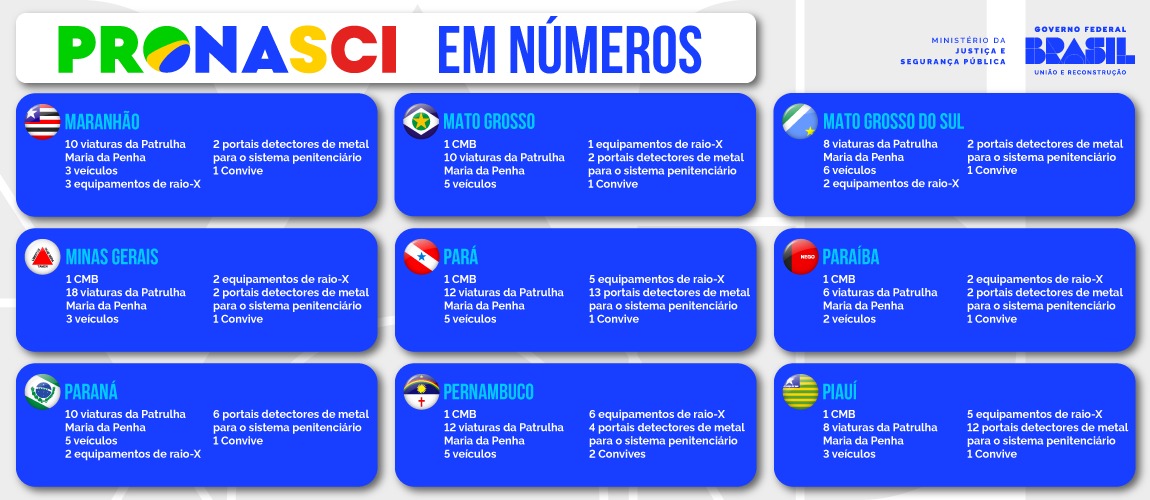 Infográfico Pronasci 2