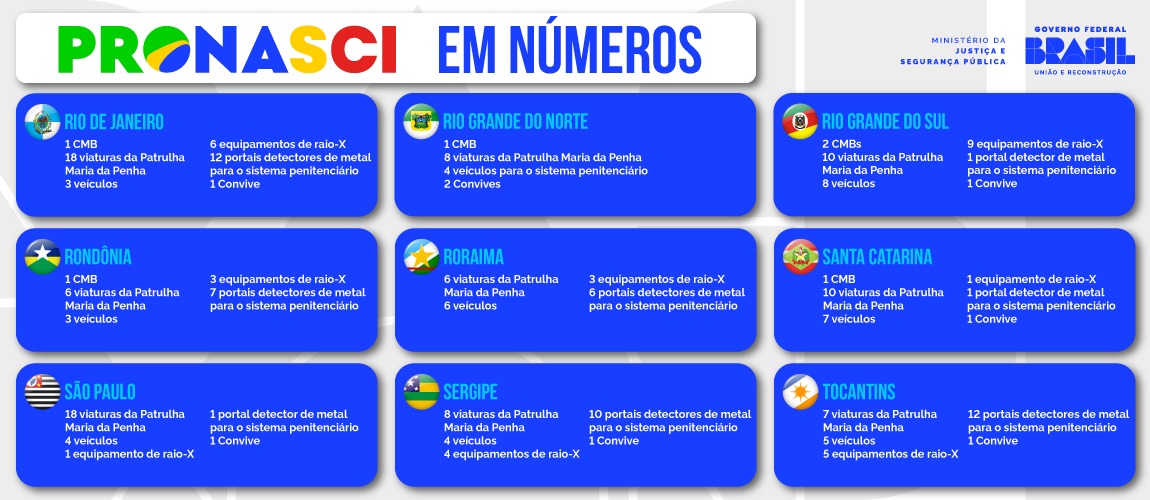 Infográfico Pronasci 3