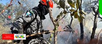 Bombeiros capacitados pelo MJSP atuarão no combate a incêndios e crimes ambientais na Amazônia e no Pantanal