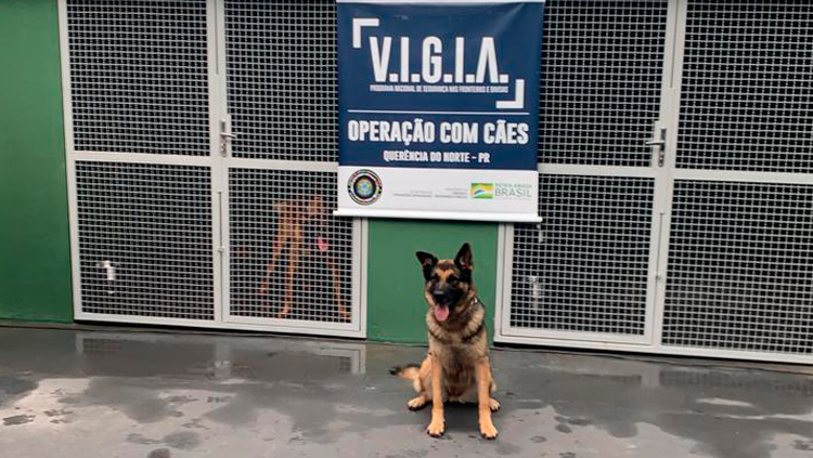 MATÉRIA_VIGIA (1).png