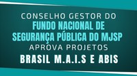 Conselho Gestor do Fundo Nacional de Segurança Pública do MJSP aprova projetos Brasil M.A.I.S e ABIS