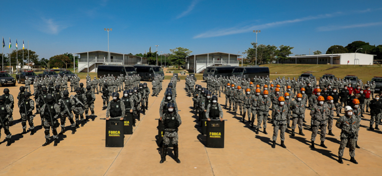 Força Nacional de Segurança Pública completa 17 anos com forte atuação no combate a crimes ambientais4.PNG