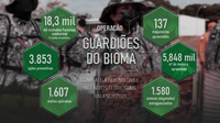 Governo Federal lança segunda edição da Operação Guardiões do Bioma com foco no combate a queimadas e incêndios florestais