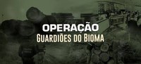 GUARDIÕES DO BIOMA: UM NOVO PARADIGMA NO COMBATE AO DESMATAMENTO E ÀS QUEIMADAS