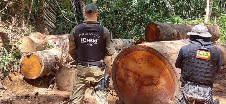 Madeira apreendida de desmatamento ilegal beneficiará áreas rurais no Mato Grosso-.jpeg