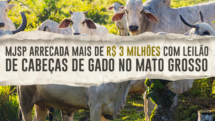 Ministério da Justiça e Segurança Pública arrecada mais de R$ 3 milhões com leilão de cabeças de gado no Mato Grosso.png