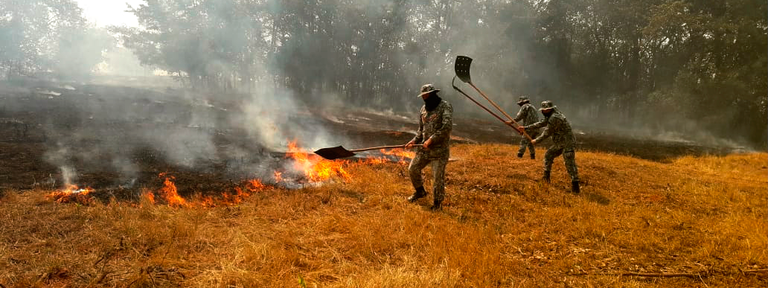 Ministério da Justiça e Segurança Pública reforça envio de bombeiros militares para combate aos incêndios no Mato Grosso do Sul.png