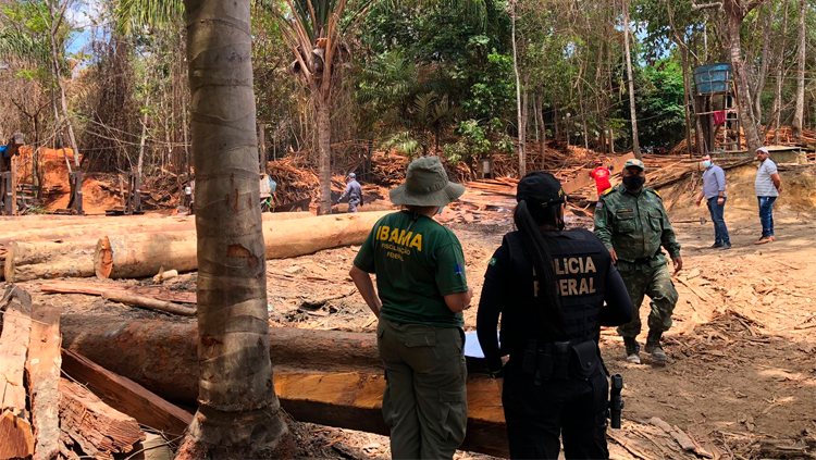 Ministro Anderson Torres acompanha resultados de Operação de combate à extração ilegal de madeira em terra indígena no Maranhão3.png