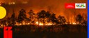 MJSP intermediará uso de R$ 150 milhões do Fundo Amazônia no combate a incêndios no cerrado e pantanal