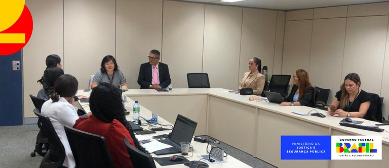 MJSP promove câmara técnica para consolidar curso sobre atendimento a mulheres em situação de violência