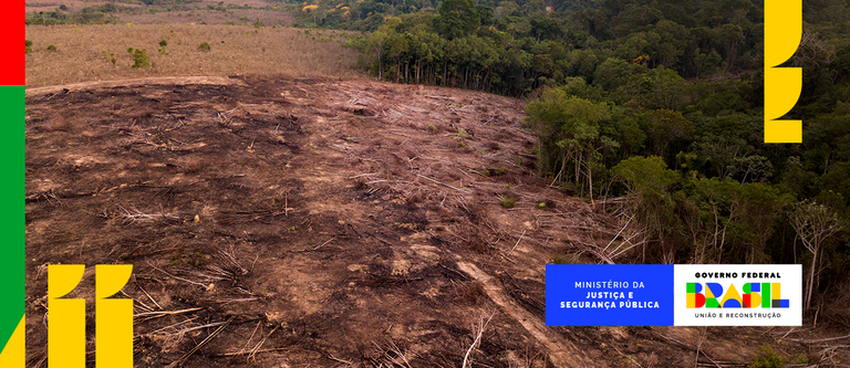 CRIMES AMBIENTAIS.png